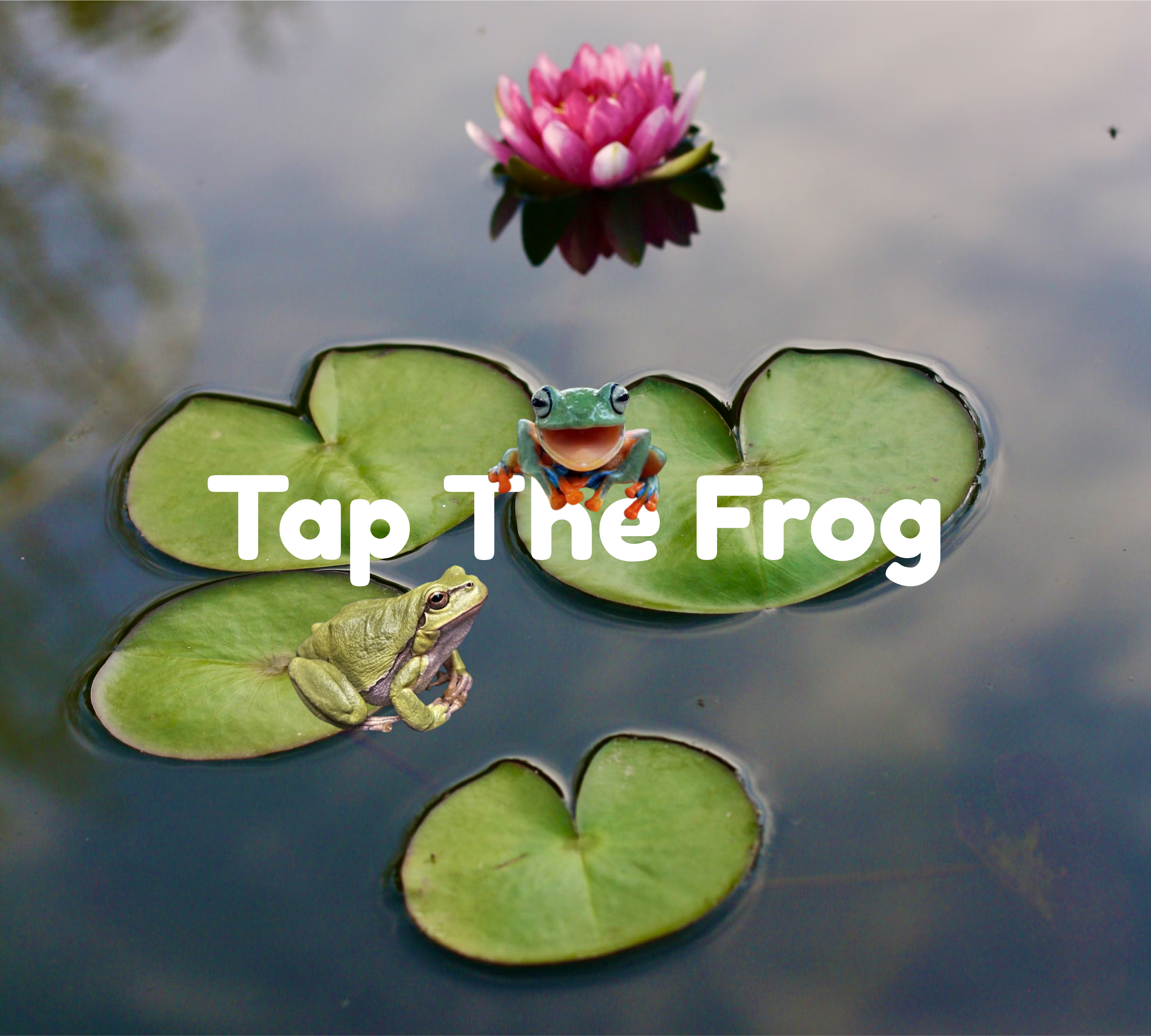 Tap The Frog